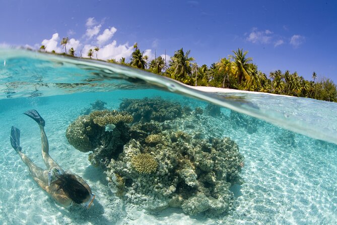 Tahaa Lagoon Tour -Departure Raiatea-Small groups (max 12 p) - Boat comfort and gear: why the small group feels different