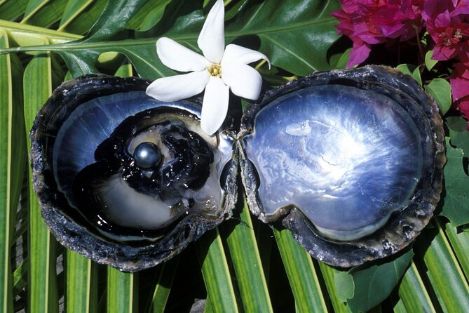 Tahaa Lagoon Tour -Departure Raiatea-Small groups (max 12 p) - Champon Pearl Farm: learning how pearls are actually grown