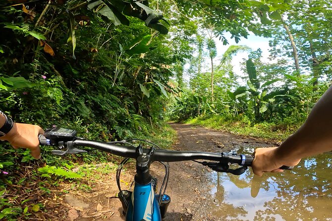 Tahiti excursion adventure circuit MTB MTB E-Bike private valley - Dam Views After Another Ascent: Why the Climb Feels Worth It