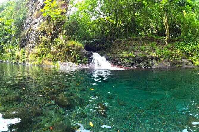 Tahiti excursion adventure circuit MTB MTB E-Bike private valley - How the E-MTB Really Works for a Rocky, Mud-Friendly Day