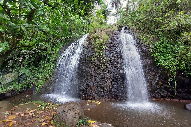 Tahiti Half Day Coastal Private Tour - Key things to know before you go