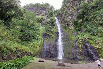 Tahiti Half Day Coastal Private Tour - Eels feeding plus coastal stops: the tour’s real personality