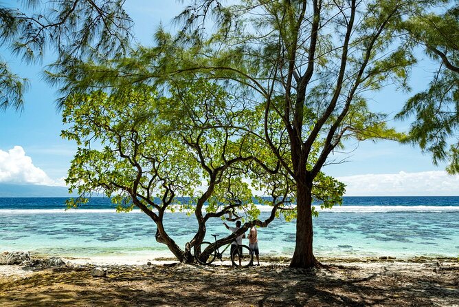 Tahiti Half Day Coastal Private Tour - Taharuu Beach: black sand surf culture without needing to be a surfer