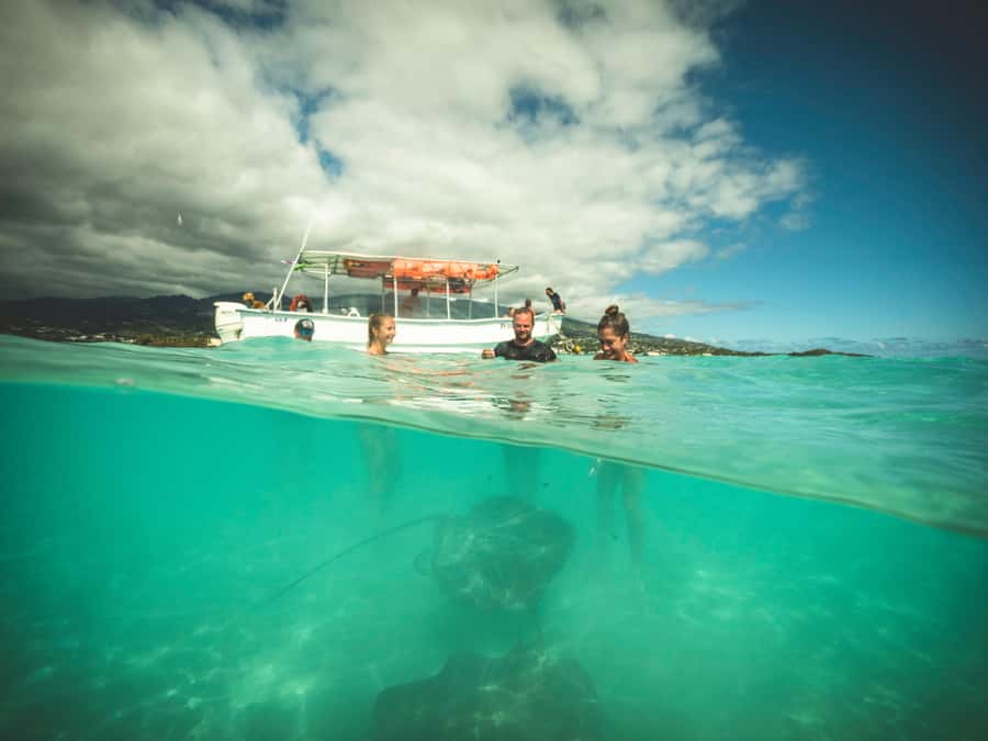 Tahiti island: 4 hours Snorkeling Tour - Seeing Sea Turtles (Without Getting Locked Into One Outcome)
