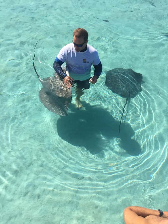 Tahiti island: 4 hours Snorkeling Tour - Dolphin Watching Starts the Clock