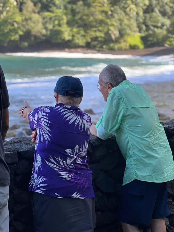 Tahiti: Unique East Coast Half Day Tour with Local Guide - Orofara and coastal scenery: black-sand vibes and surf-coast energy
