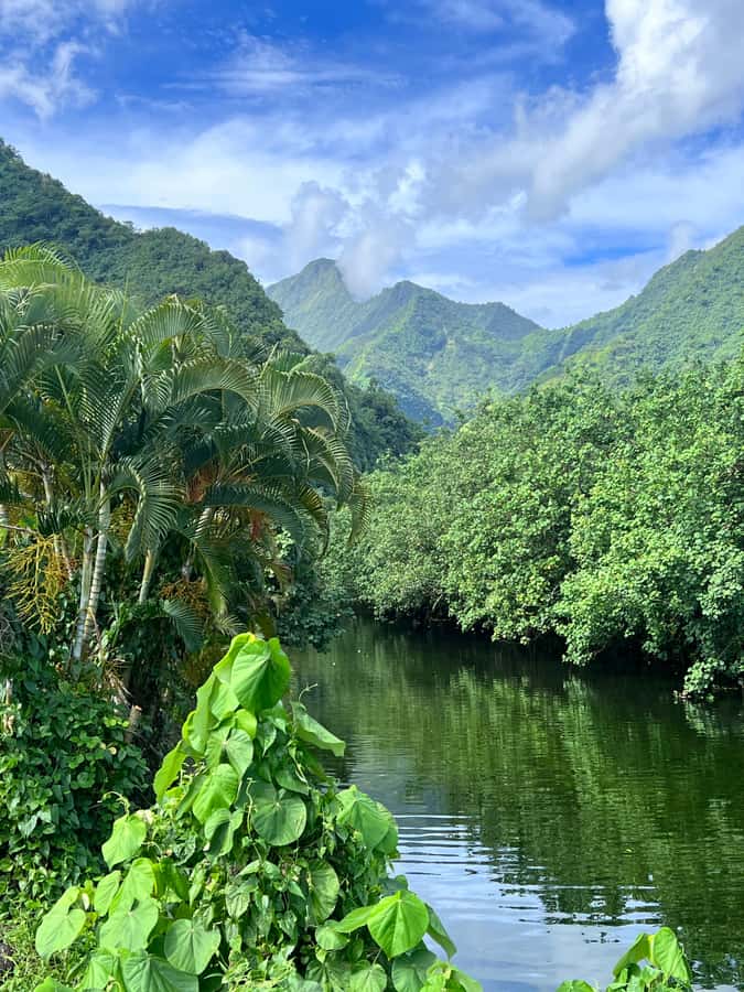 Tahiti: Unique Full Day West Coast, Combo Tour to Teahupoo - Maraa Grotto: Cool Cave Water Without the Dramatic Clutter