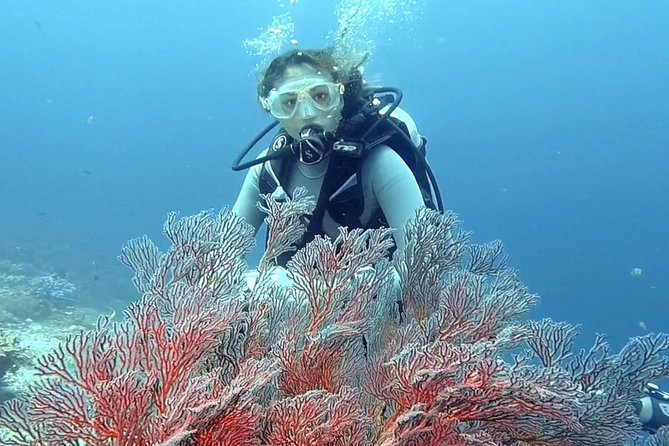 Taormina Scuba Diving Experience - Getting there: the 8:30 am start and the meeting point