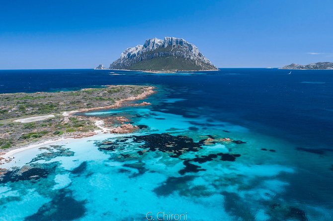 Tavolara Boat Tour and Snorkeling - Key highlights to know before you go