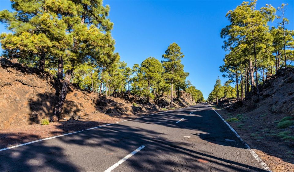 Teide: Guided Sunset & Stargazing Tour by Night with Dinner - Stargazing with lasers and telescopes: how the guide makes it work