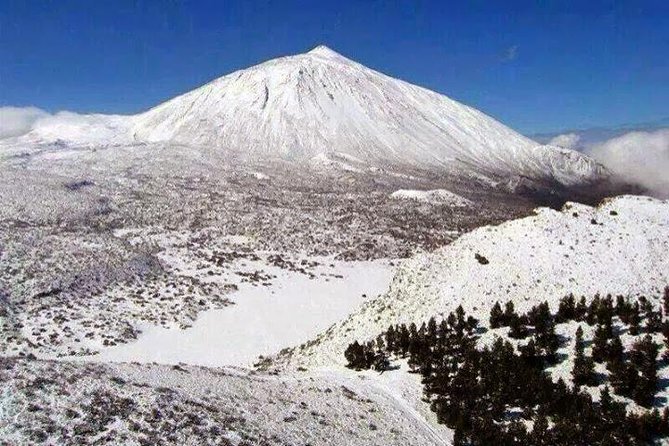 Teide-Icod-Garachico-Masca (Most popular bus tour in Tenerife) - Icod de los Vinos and the Drago Milenario you came for