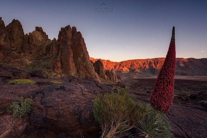 Teide-Icod-Garachico-Masca (Most popular bus tour in Tenerife) - Garachico’s El Caletón volcanic pools: why the lava matters
