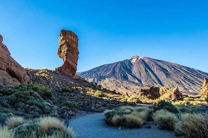 Teide-Icod-Garachico-Masca (Most popular bus tour in Tenerife) - Puerto de la Cruz pickup: the easiest start, if you plan your timing