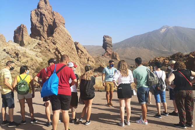 Teide National Park - Price and value: what you pay $74 for, and what costs extra