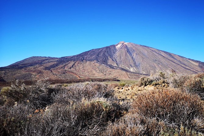 Teide National Park for smaller groups - Stop 2: El Pino Gordo (old-growth pine energy)