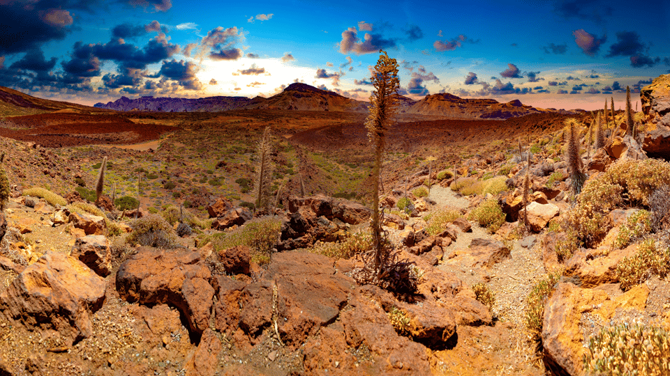 Teide National Park: Landscapes and Viewpoints Private Tour - El Portillo Visitor Center: where you get the park in plain language
