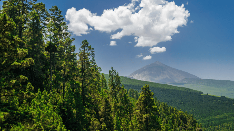 Teide National Park: Landscapes and Viewpoints Private Tour - Teide views that work for different travel styles