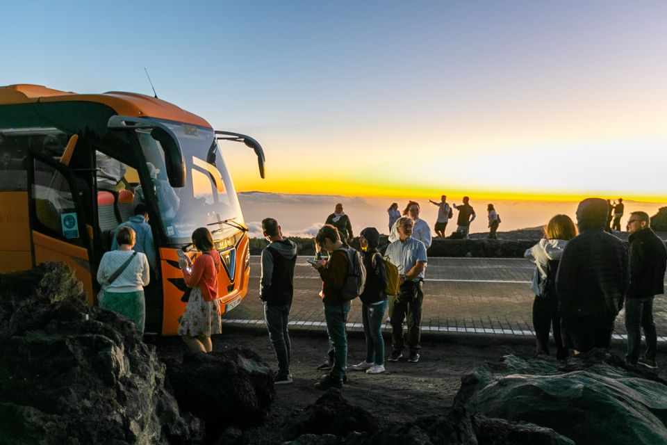 Teide National Park: Sunset & Stargazing Safari with Dinner - Who should book this Teide sunset and stargazing safari?