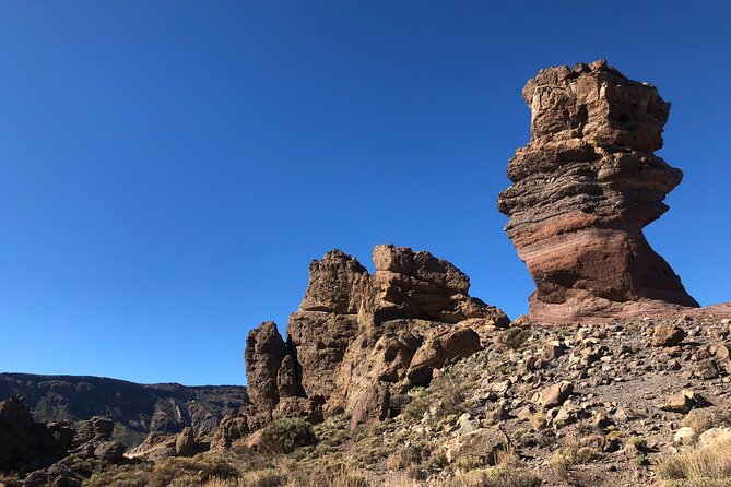Teide National Park - Getting to the park: bus comfort plus live guidance