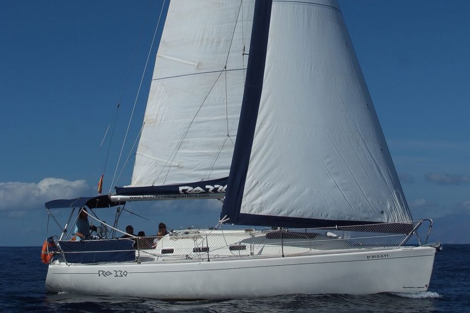 Tenerife: 3 &-6 Hour Private Whale & Dolphin Watching - Price and value: $1,101 per group up to 9