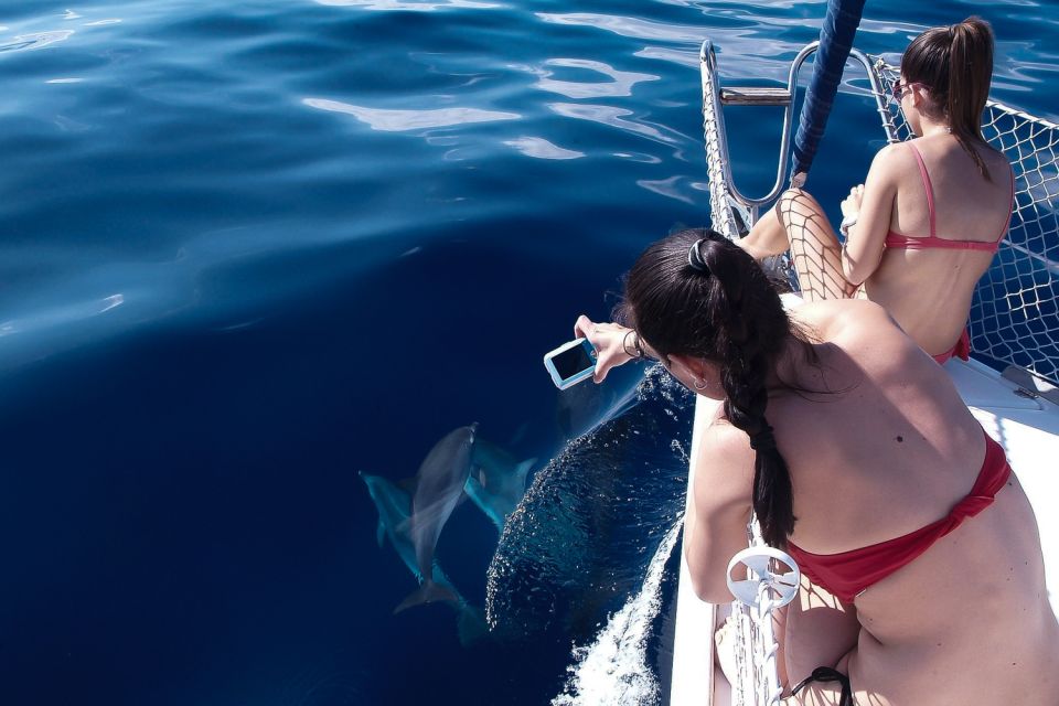 Tenerife: 3 &-6 Hour Private Whale & Dolphin Watching - FAQ