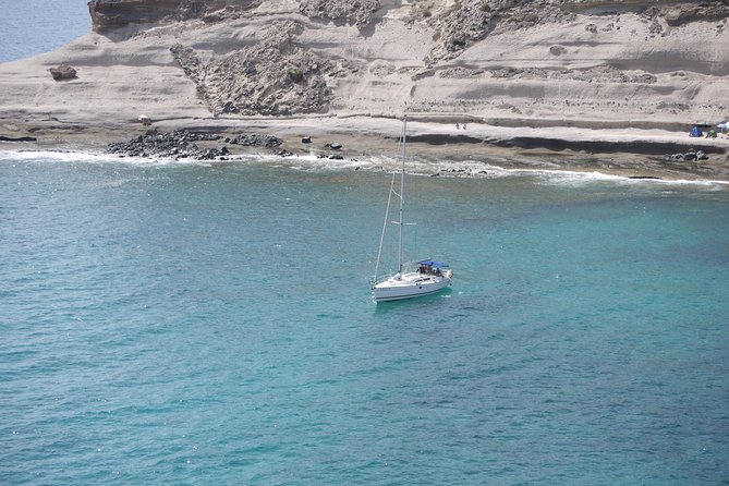 Tenerife 3-Hour Discover Whales and Dolphins - Quick hits before you go
