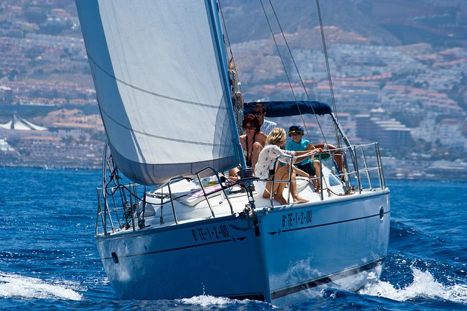 Tenerife 3-Hour Discover Whales and Dolphins - From Puerto Colón to open sea on a small, real-sail boat