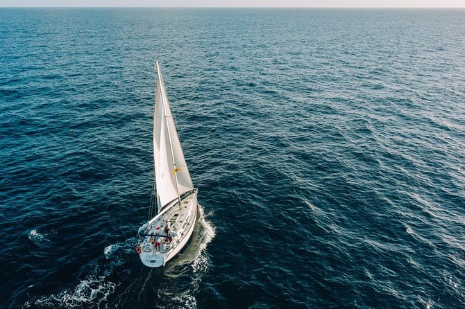 Tenerife 3-Hour Discover Whales and Dolphins - Who should book this Tenerife whale cruise?