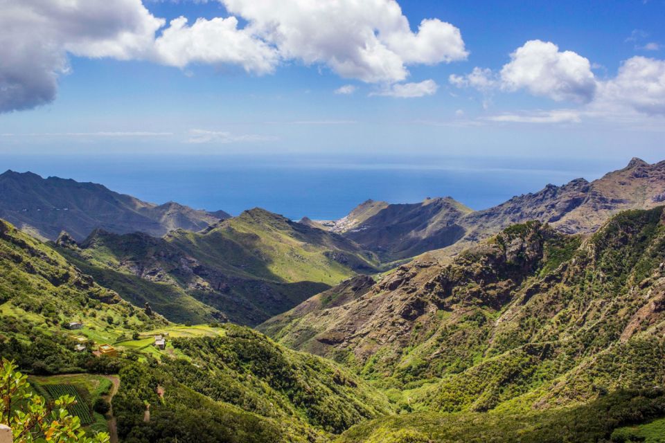 Tenerife: Anaga Rural Park Private Tour - San Andres start: fishing village energy and immediate mountain context