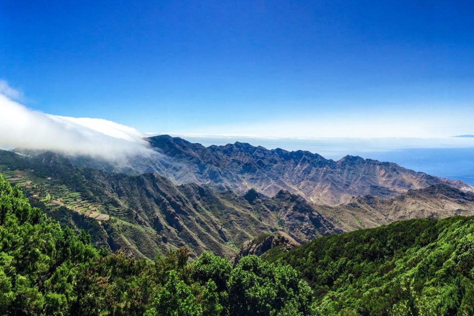 Tenerife: Anaga Rural Park Private Tour - Fayal-Brezal and the forest stops where time slows down