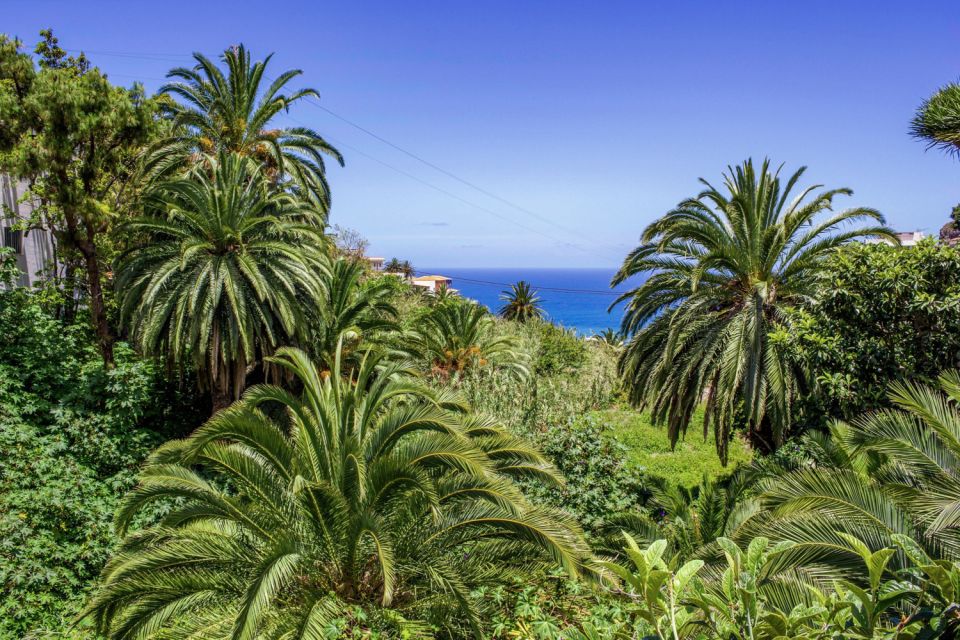 Tenerife: Anaga Rural Park Private Tour - San Cristóbal de La Laguna: UNESCO streets, walkable and historic
