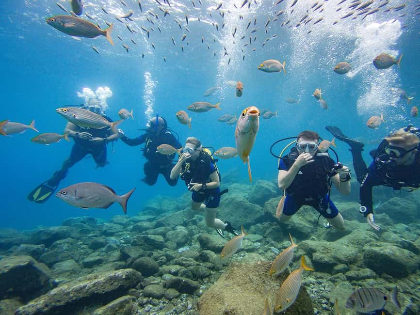 Tenerife: Beginner Scuba Diving Experience with Pickup - What You’re Really Signing Up For in Tenerife’s Water