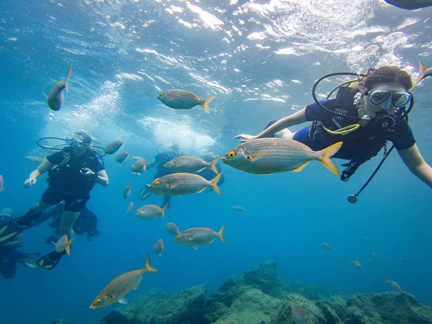 Tenerife: Beginner Scuba Diving Experience with Pickup - Learning to Breathe Underwater Without Making It Weird