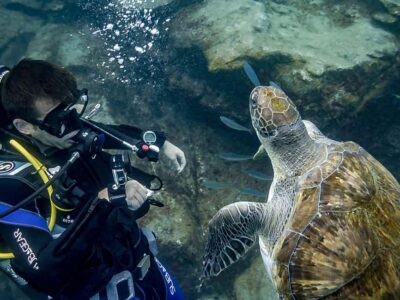 Tenerife: Beginner Scuba Diving Experience with Pickup - The 30-Minute Safety Briefing and Gear Setup at C. las Lagunetas, 2