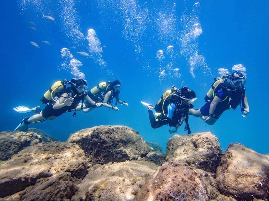 Tenerife: Beginner Scuba Diving Experience with Pickup - How Pickup and Transport Changes the Experience Day-Plan