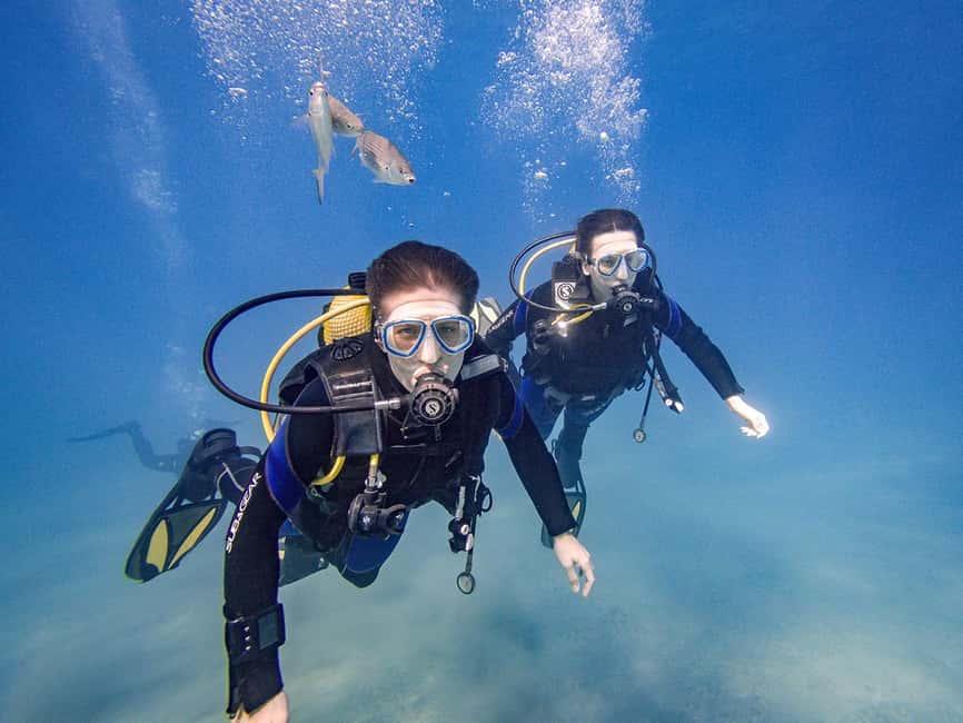 Tenerife: Beginner Scuba Diving Experience with Pickup - Price and Value: Is $67 Worth It?