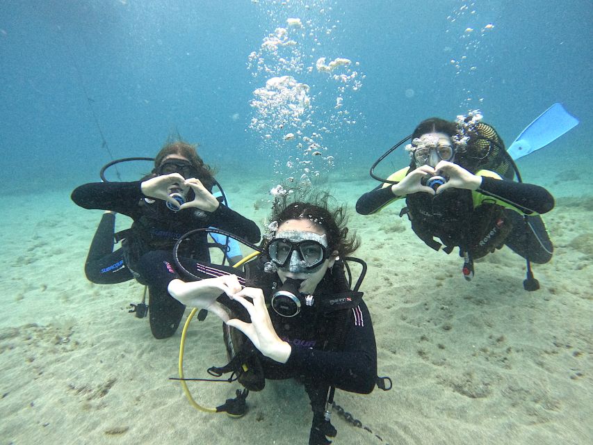 Tenerife: Beginner's Dive at a Spot with Turtle Sightings - Key highlights you’ll care about