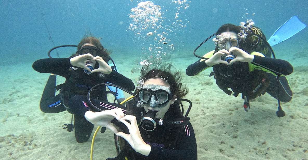 Tenerife: Beginner's Dive at a Spot with Turtle Sightings - Safety briefing first, confidence second