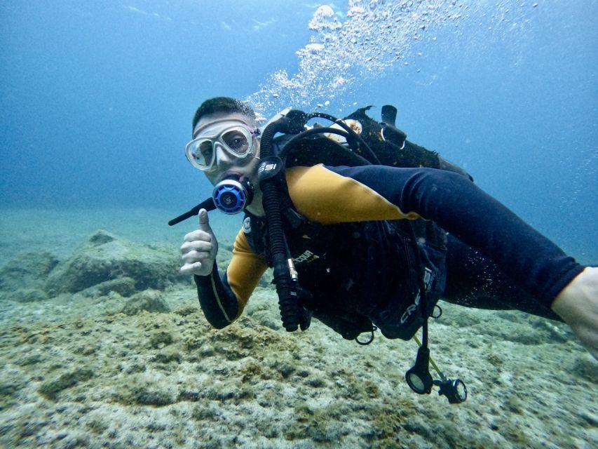 Tenerife: Beginner's Dive at a Spot with Turtle Sightings - Getting used to gear and breathing (without going too far)