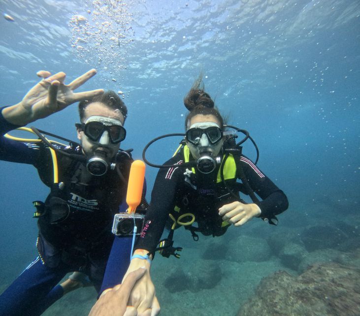 Tenerife: Beginner's Dive at a Spot with Turtle Sightings - The 45-minute underwater window and what to do with your energy