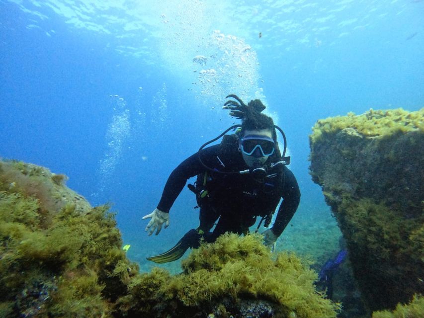 Tenerife: Beginner's Dive at a Spot with Turtle Sightings - After the underwater session: snorkeling option and return