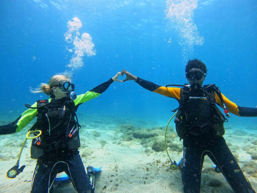 Tenerife: Beginner's Dive at a Spot with Turtle Sightings - Who this is perfect for (and who should choose differently)