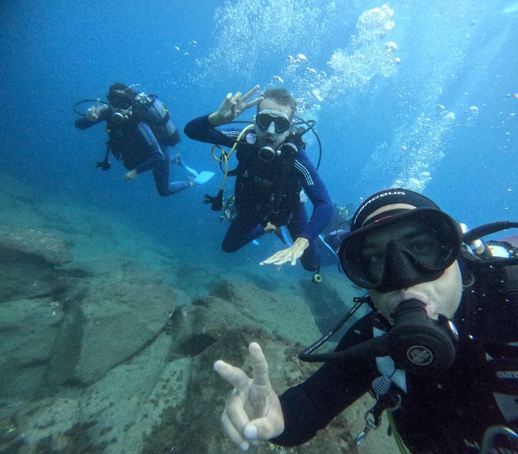 Tenerife: Beginner's Dive at a Spot with Turtle Sightings - Puerto Colón to the scuba site by speedboat
