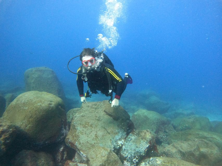 Tenerife: Beginners Scuba Dive Experience in Turtle Area - Speedboat to the turtle area: the fun part before the hard part