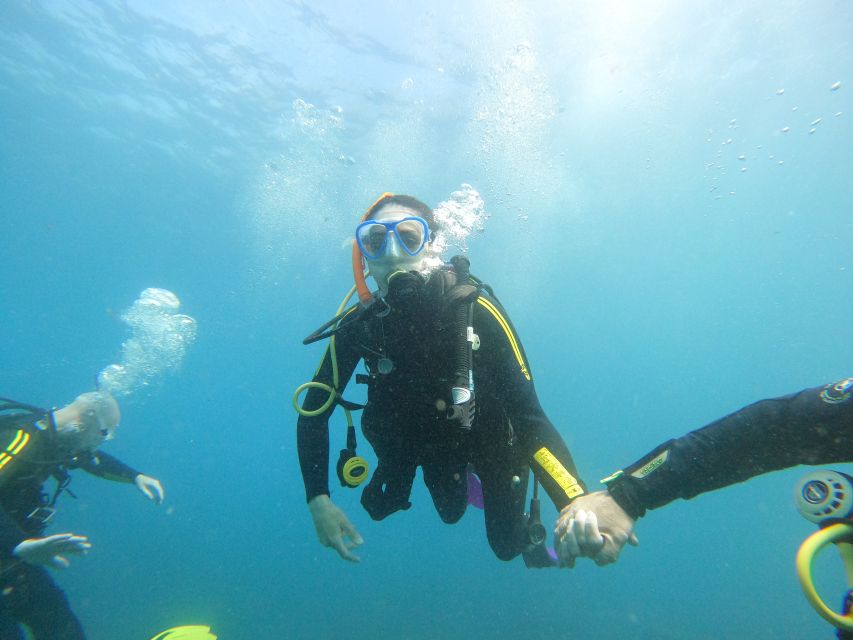 Tenerife: Beginners Scuba Dive Experience in Turtle Area - Snorkeling safari after: turtles, rays, and fish you can actually track