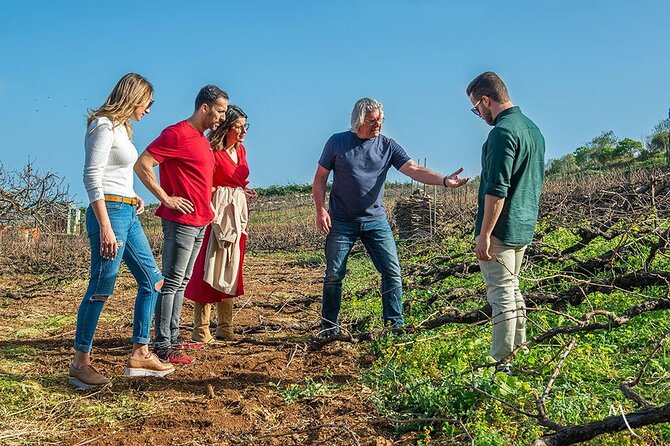 Tenerife Bodegas Monje Winery Tour with Wine and Cheese Tasting - Who this tour suits best (and who should think twice)