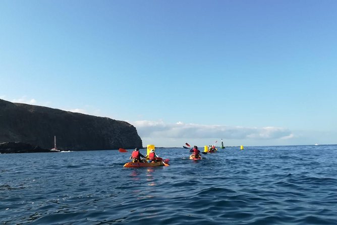 Tenerife by Kayak Adventure in small group - Key Highlights You’ll Actually Notice