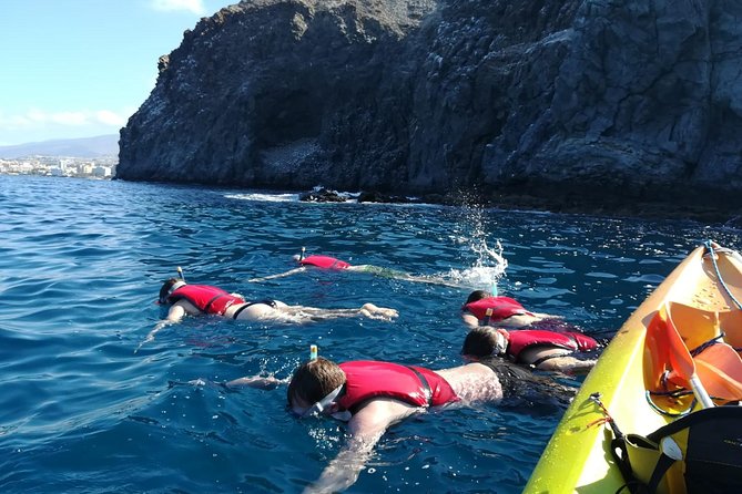 Tenerife by Kayak Adventure in small group - Dolphins: Spotting Tips and the Waiting That Pays Off