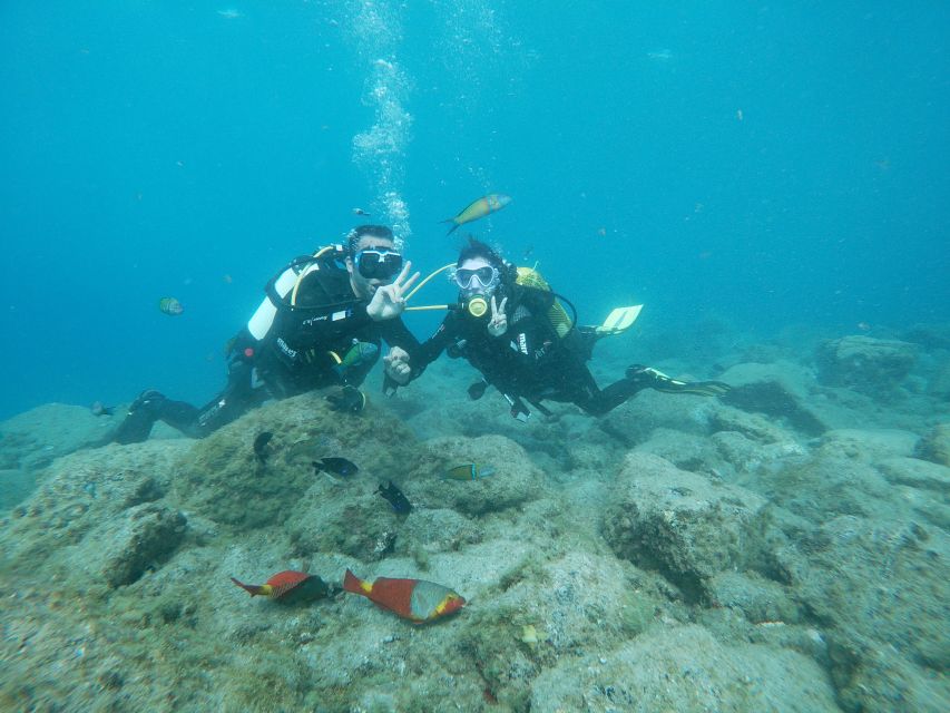 Tenerife: Costa Adeje Private Diving Lesson Experience - Key Things to Know Before You Go