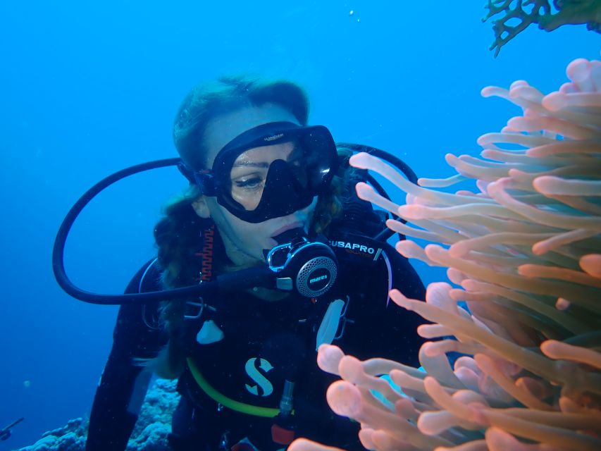 Tenerife: Costa Adeje Private Diving Lesson Experience - Meeting Point and Practical Logistics (So You Don’t Stress)